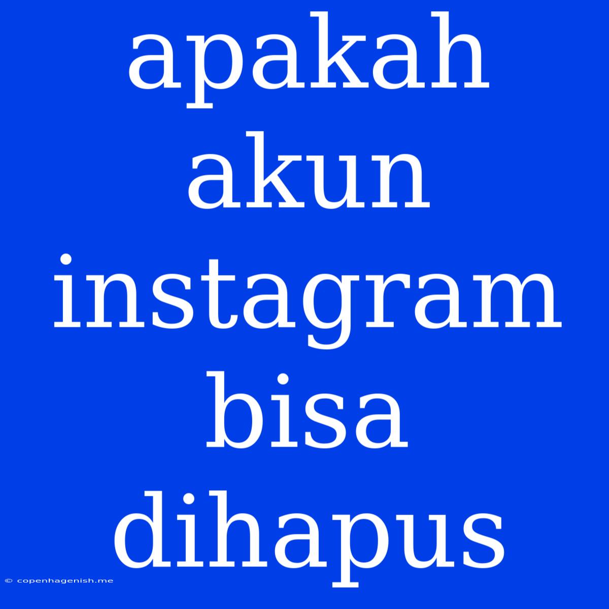 Apakah Akun Instagram Bisa Dihapus