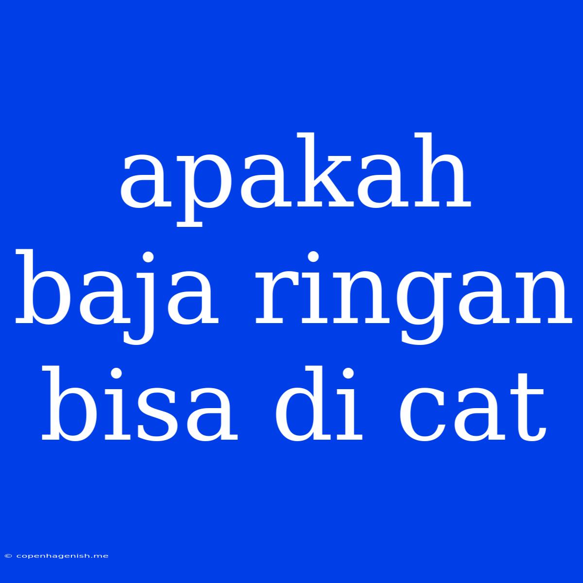 Apakah Baja Ringan Bisa Di Cat