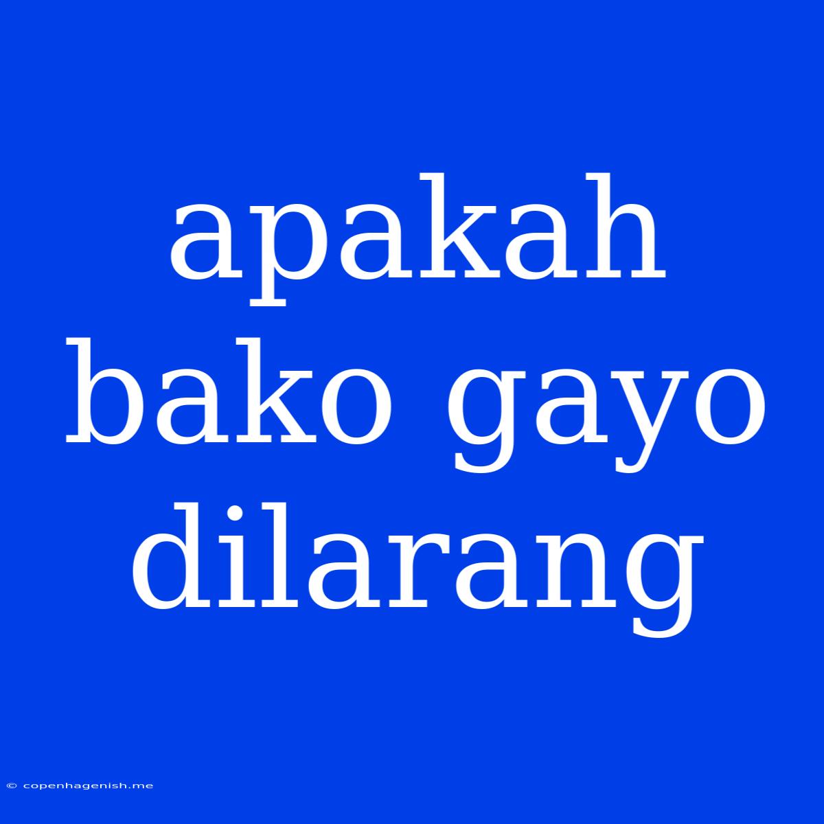 Apakah Bako Gayo Dilarang