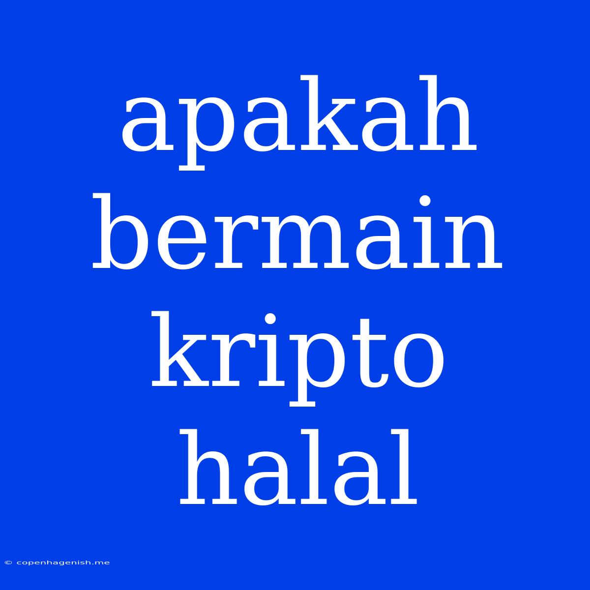 Apakah Bermain Kripto Halal