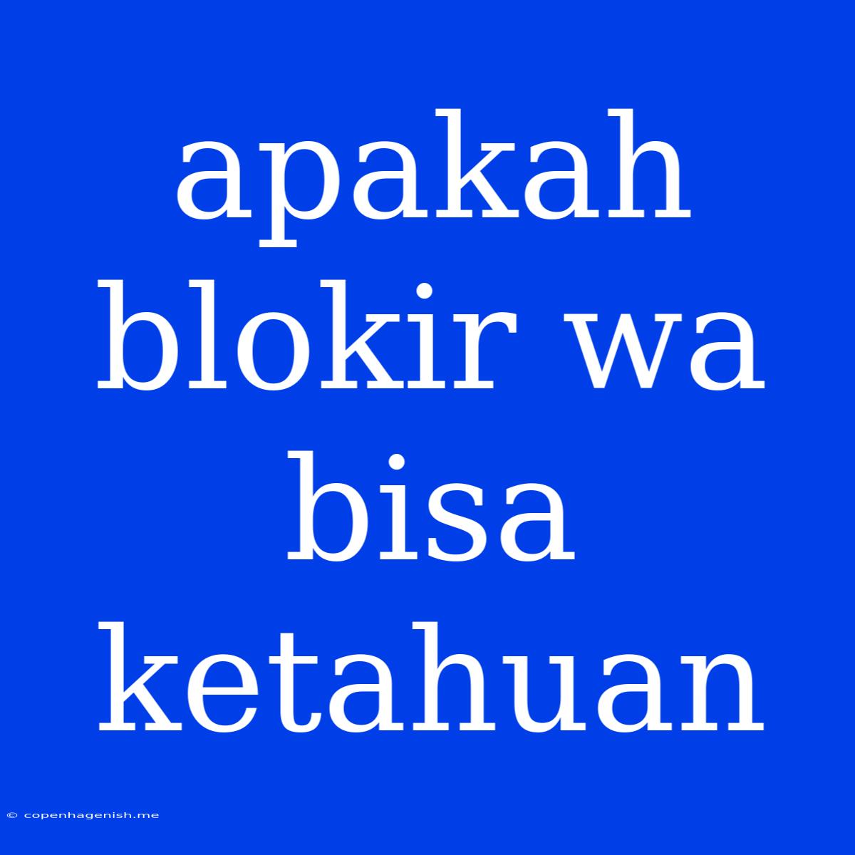 Apakah Blokir Wa Bisa Ketahuan