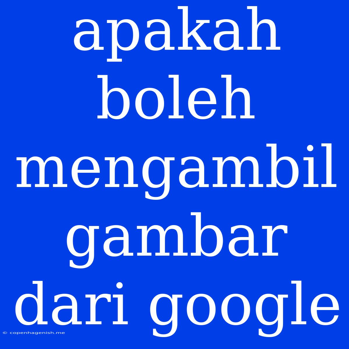 Apakah Boleh Mengambil Gambar Dari Google