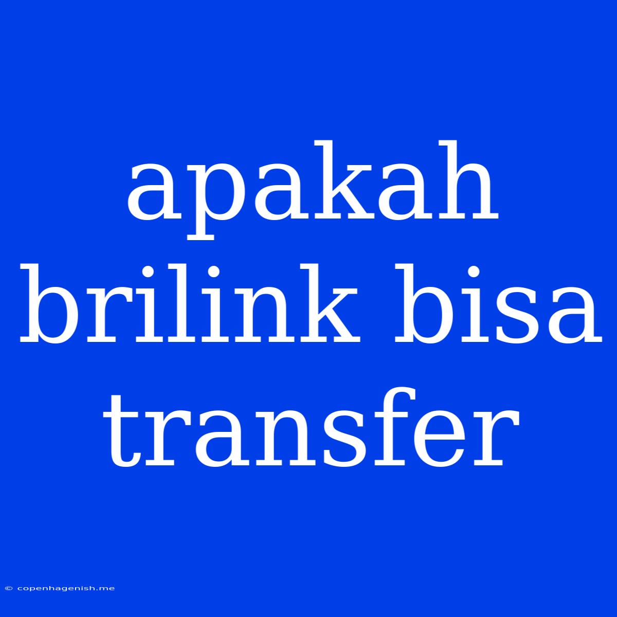 Apakah Brilink Bisa Transfer