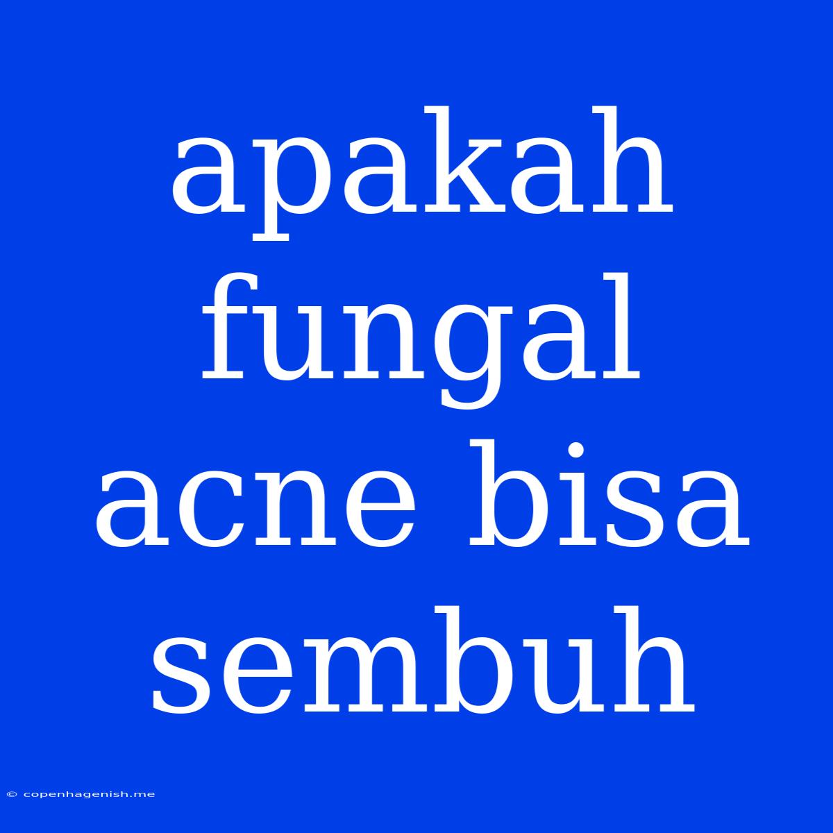 Apakah Fungal Acne Bisa Sembuh