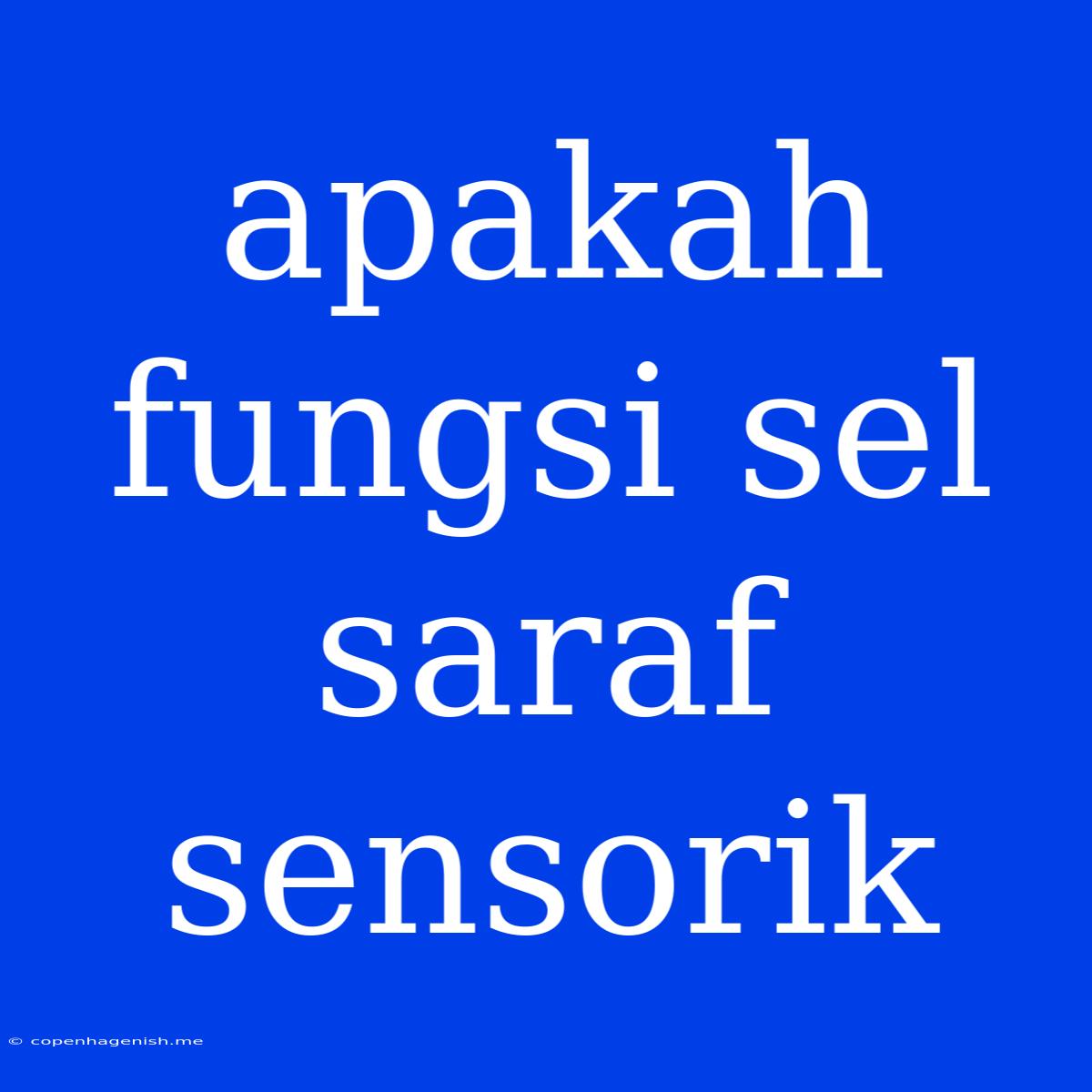 Apakah Fungsi Sel Saraf Sensorik