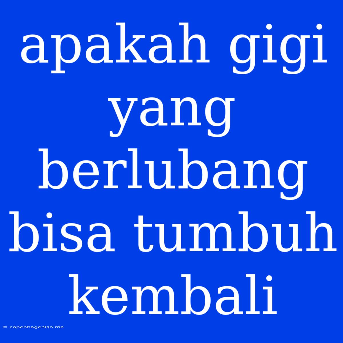 Apakah Gigi Yang Berlubang Bisa Tumbuh Kembali