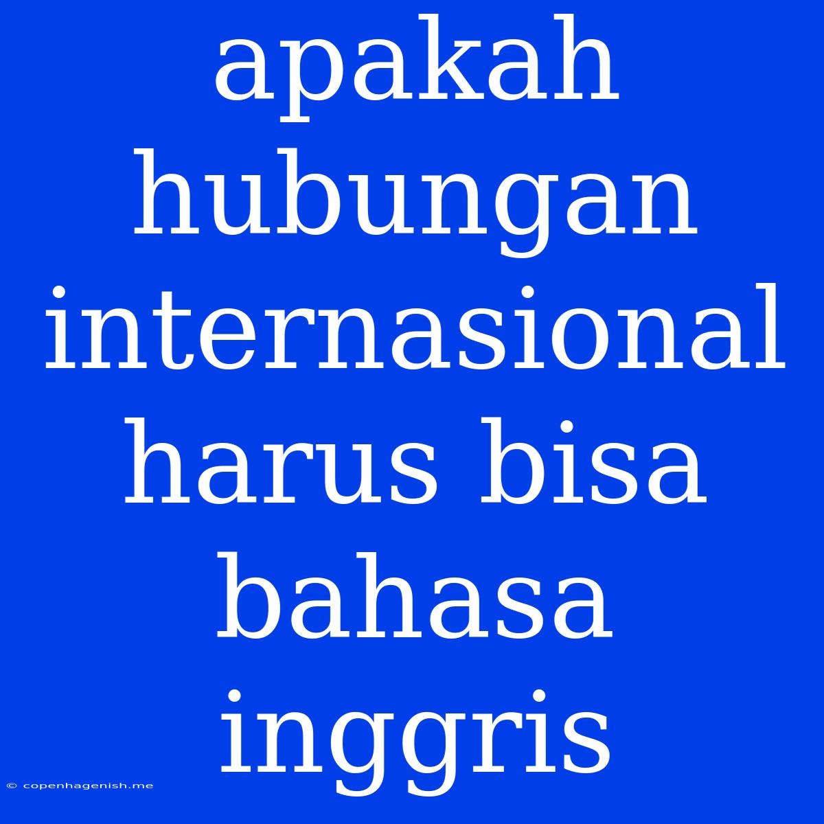 Apakah Hubungan Internasional Harus Bisa Bahasa Inggris