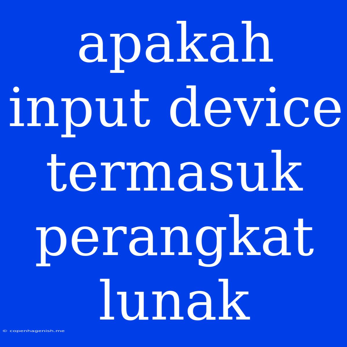 Apakah Input Device Termasuk Perangkat Lunak