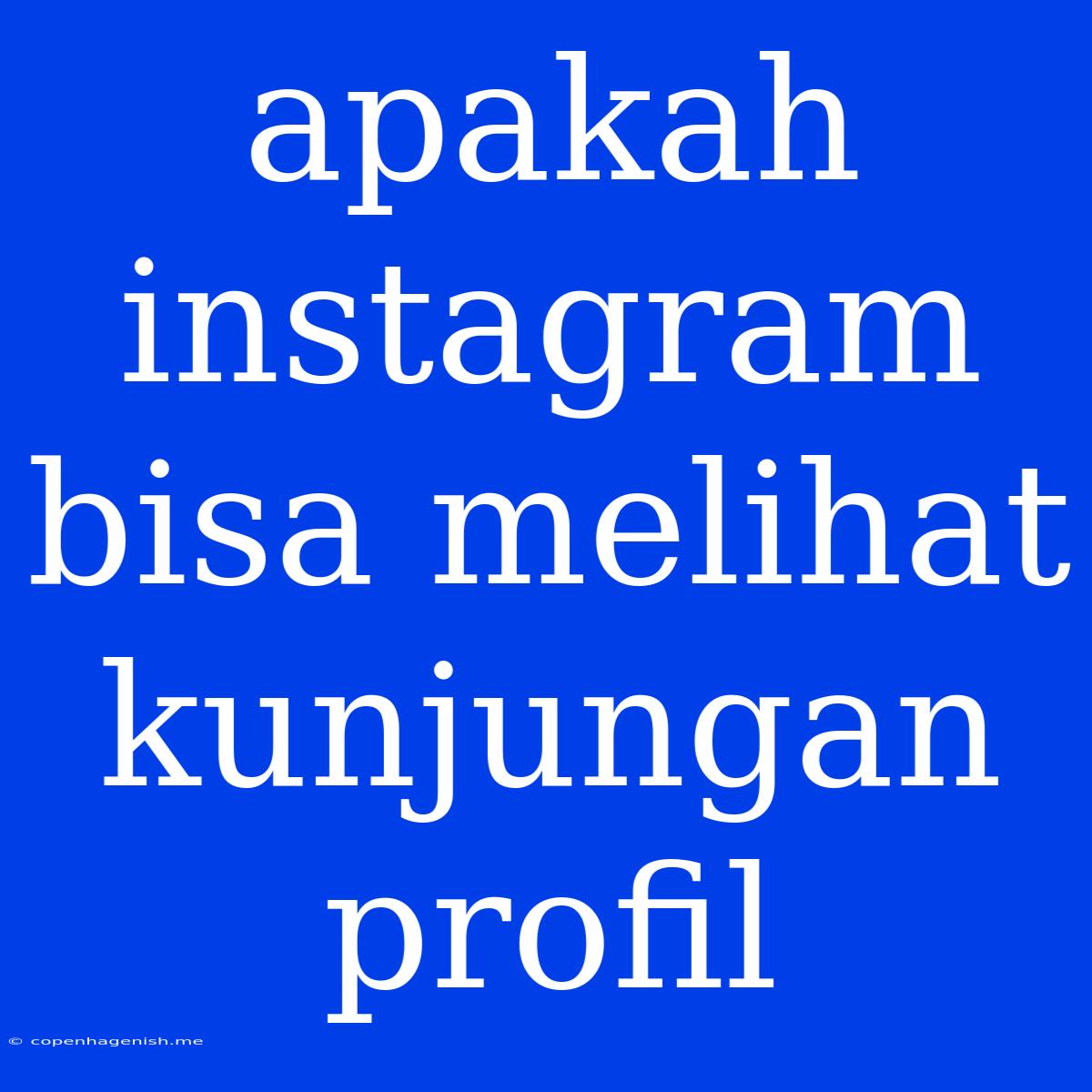 Apakah Instagram Bisa Melihat Kunjungan Profil