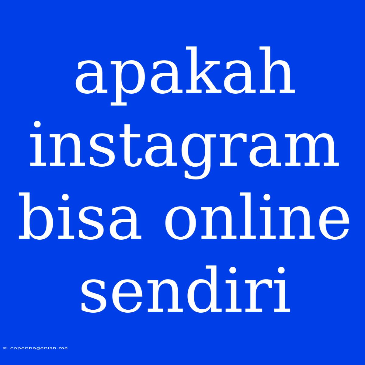 Apakah Instagram Bisa Online Sendiri