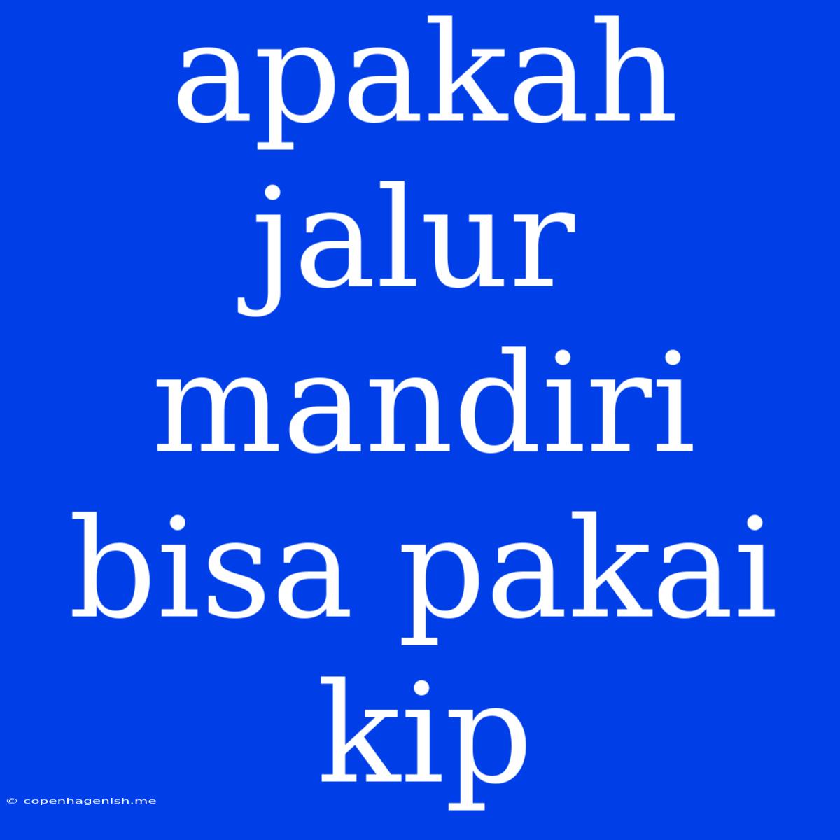 Apakah Jalur Mandiri Bisa Pakai Kip