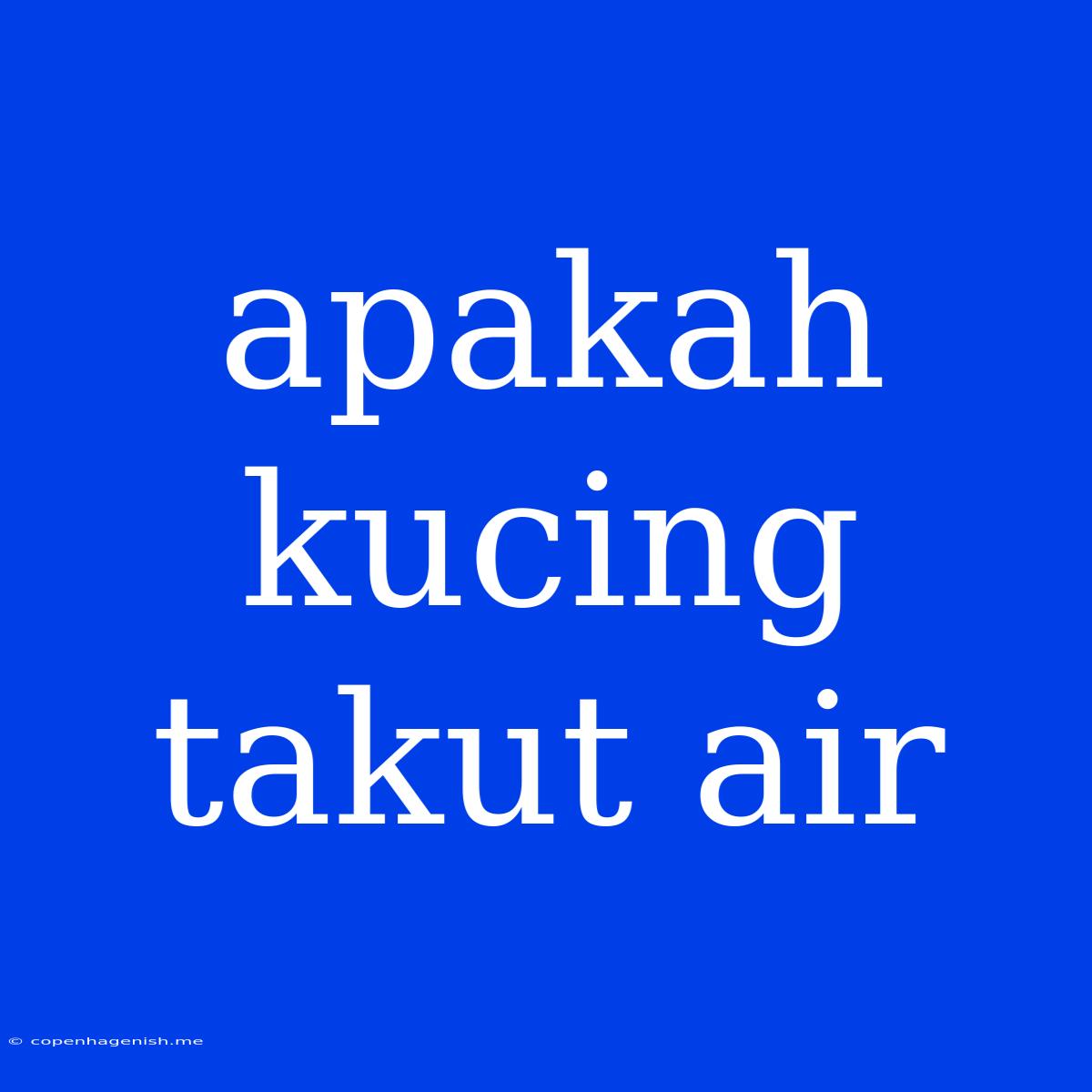 Apakah Kucing Takut Air