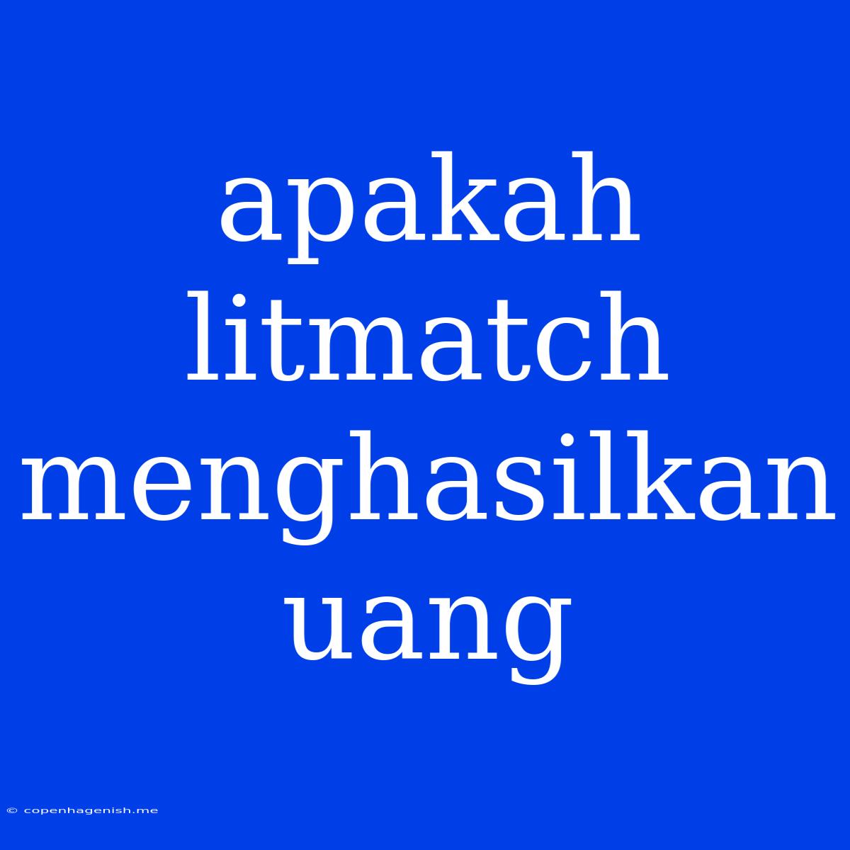 Apakah Litmatch Menghasilkan Uang