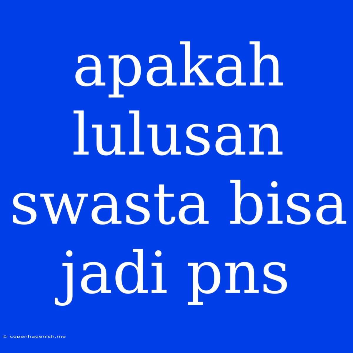 Apakah Lulusan Swasta Bisa Jadi Pns