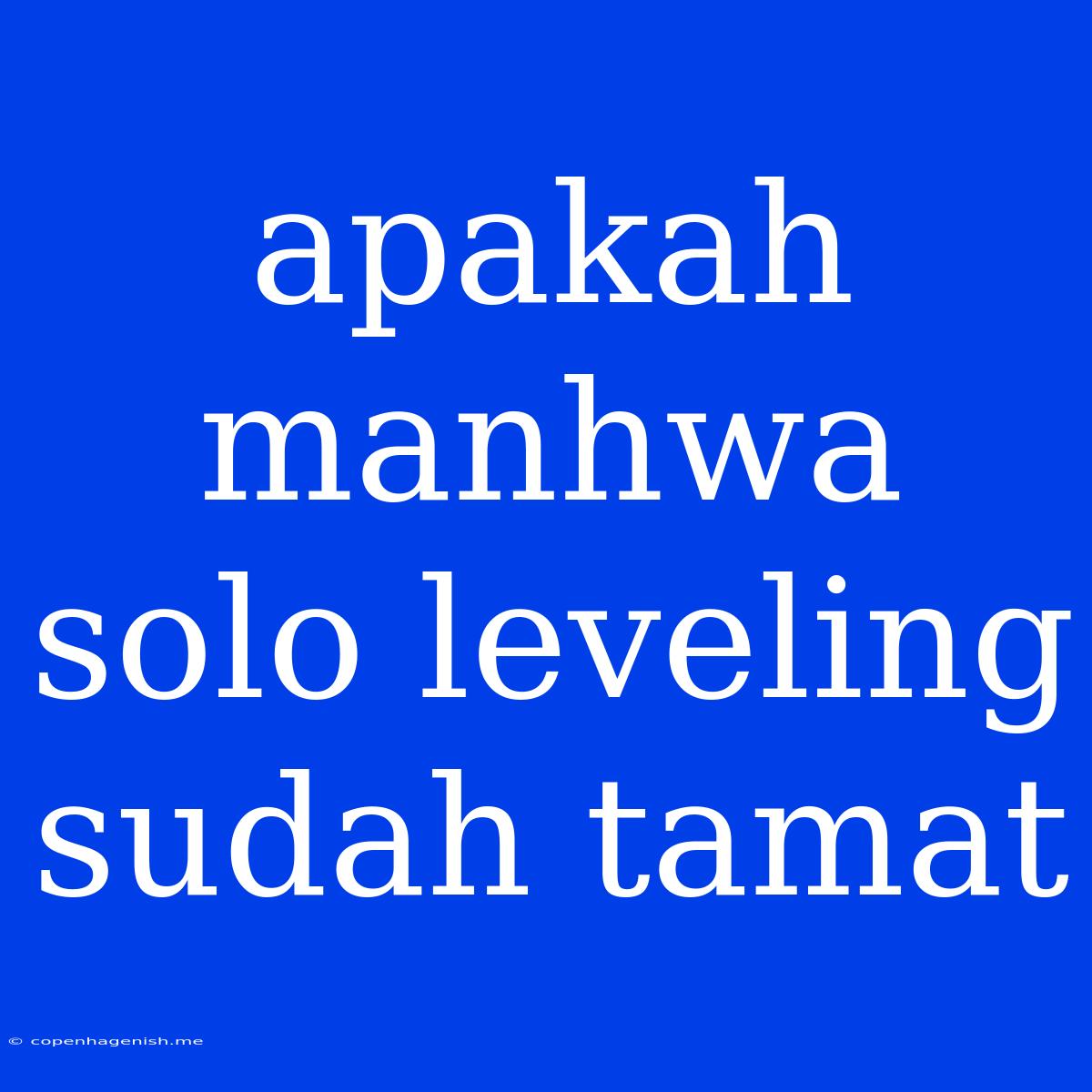 Apakah Manhwa Solo Leveling Sudah Tamat