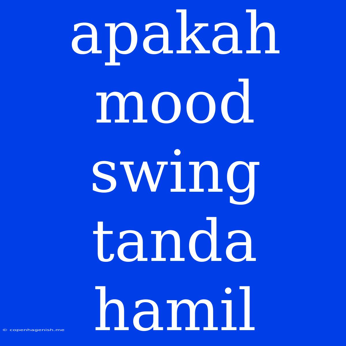 Apakah Mood Swing Tanda Hamil