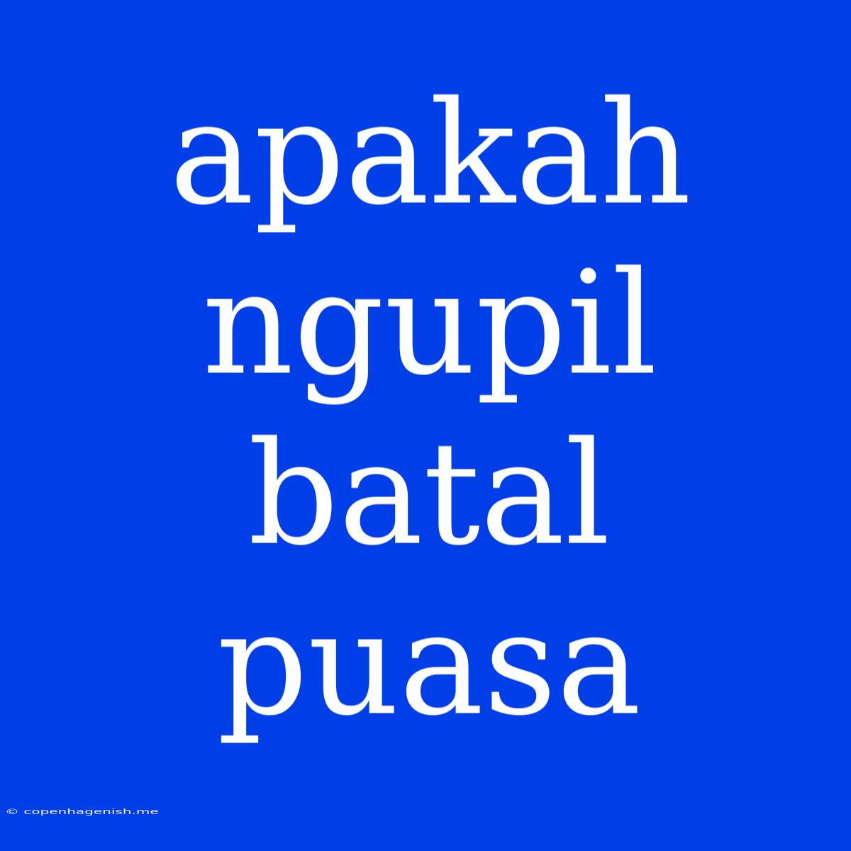 Apakah Ngupil Batal Puasa