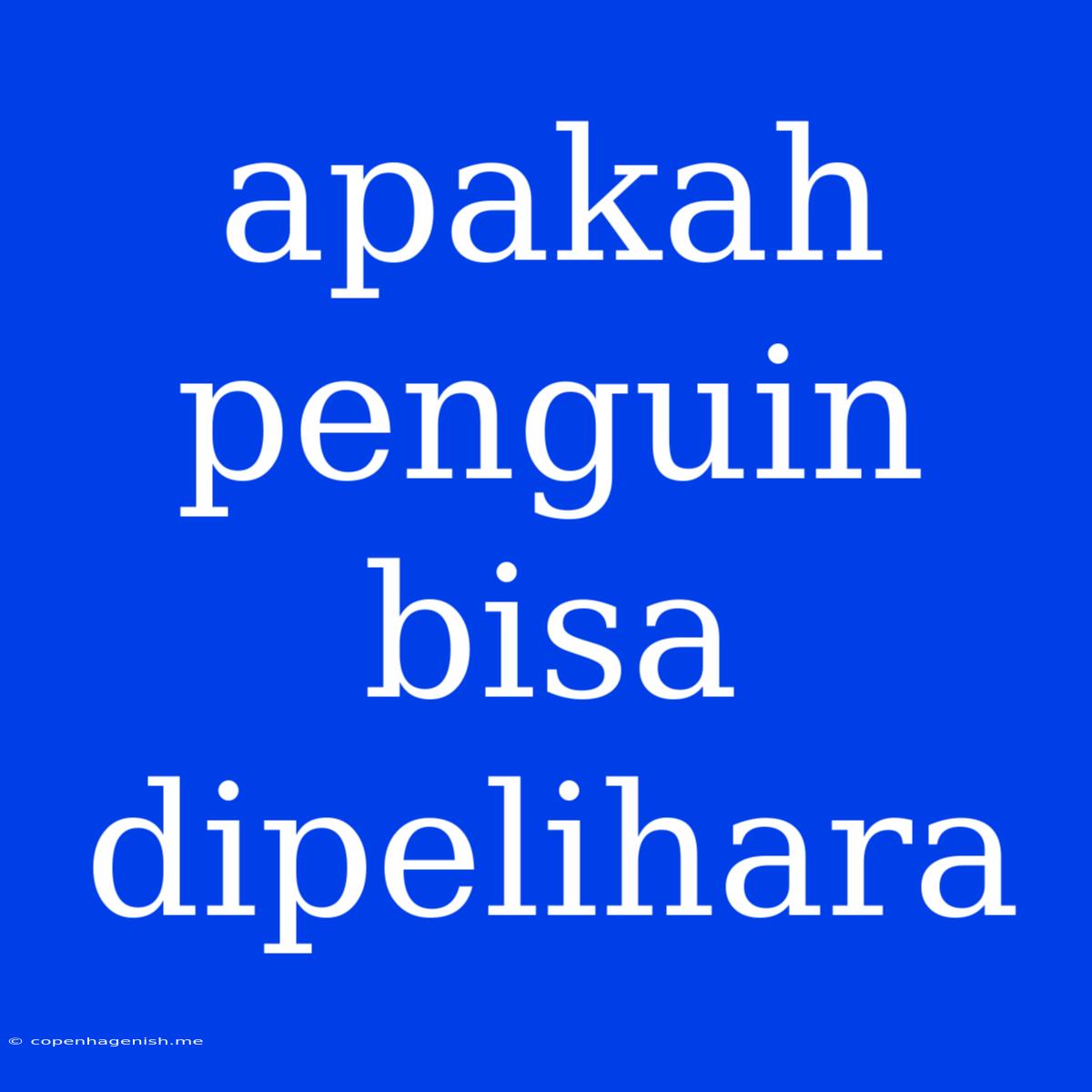 Apakah Penguin Bisa Dipelihara