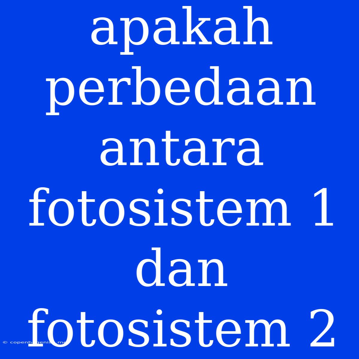 Apakah Perbedaan Antara Fotosistem 1 Dan Fotosistem 2