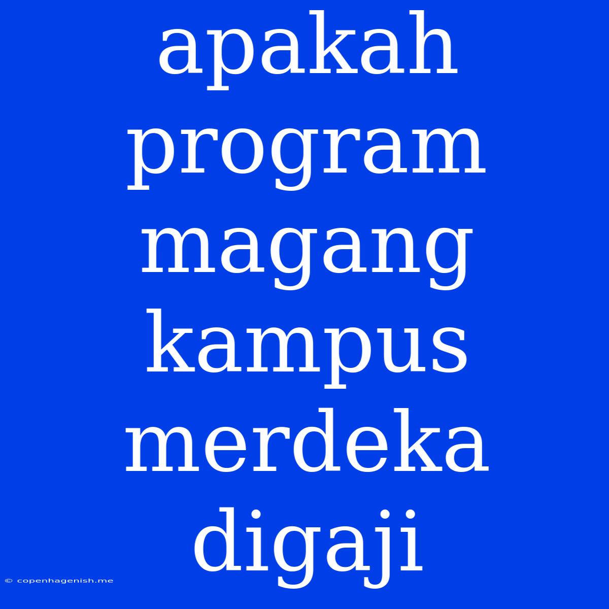 Apakah Program Magang Kampus Merdeka Digaji