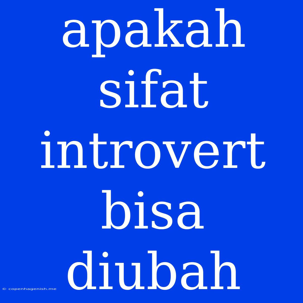 Apakah Sifat Introvert Bisa Diubah