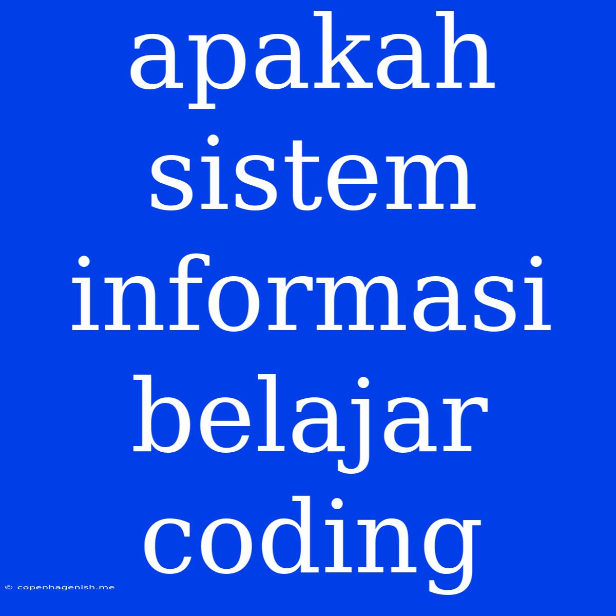 Apakah Sistem Informasi Belajar Coding