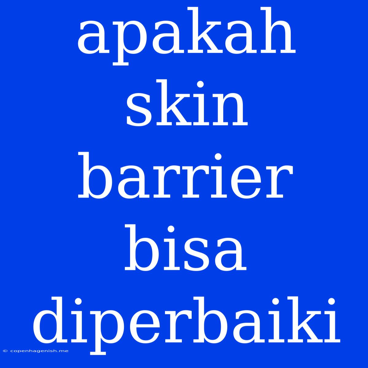 Apakah Skin Barrier Bisa Diperbaiki