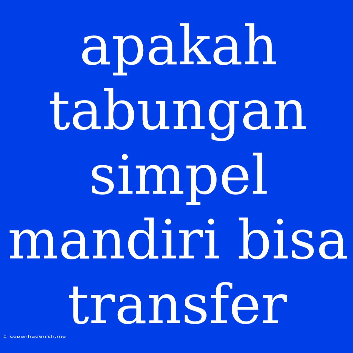 Apakah Tabungan Simpel Mandiri Bisa Transfer