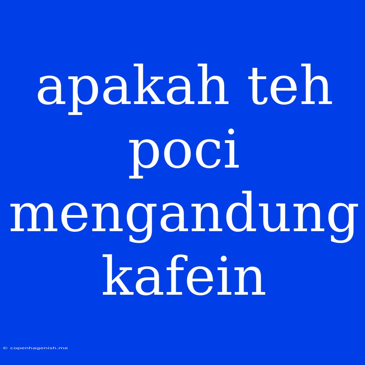 Apakah Teh Poci Mengandung Kafein