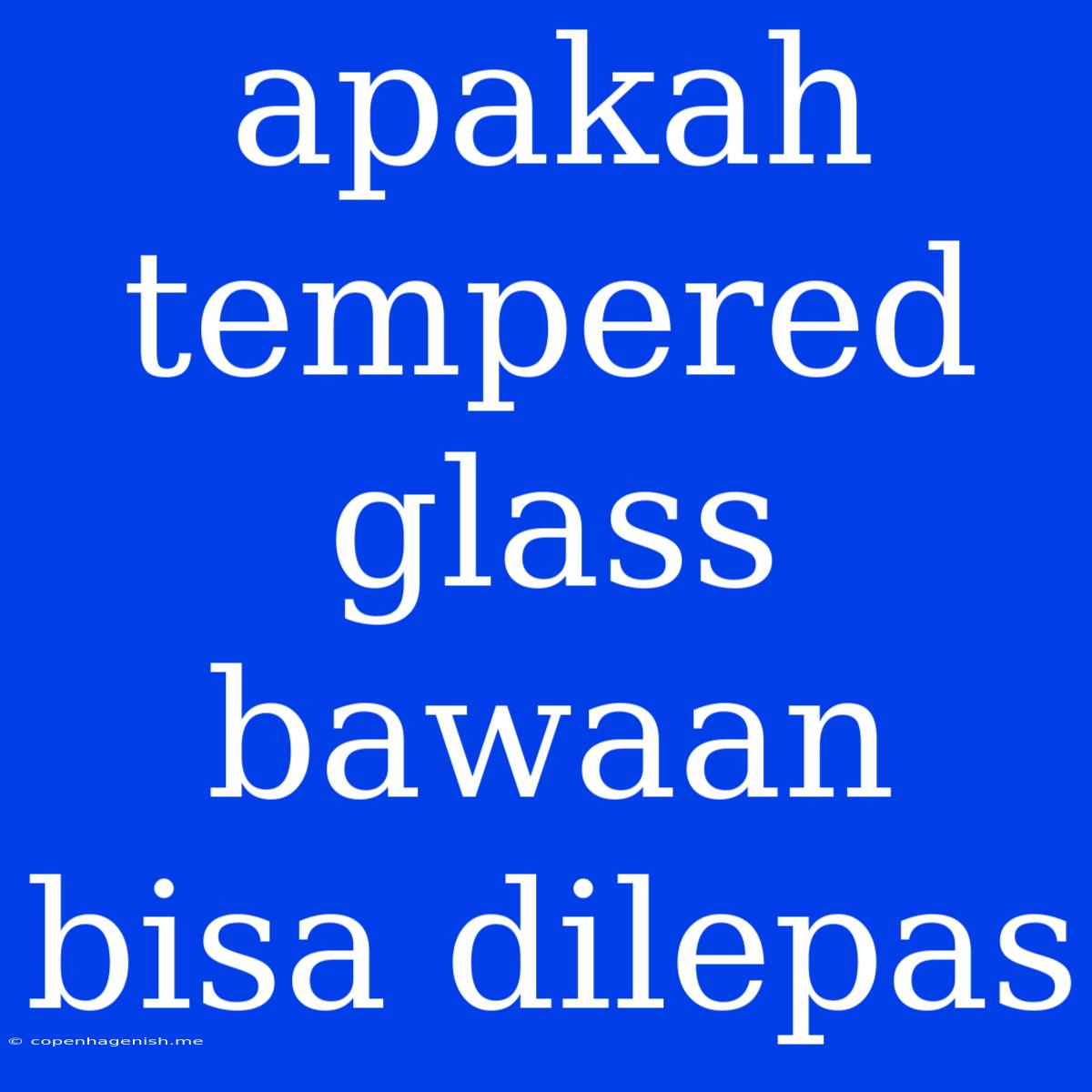 Apakah Tempered Glass Bawaan Bisa Dilepas