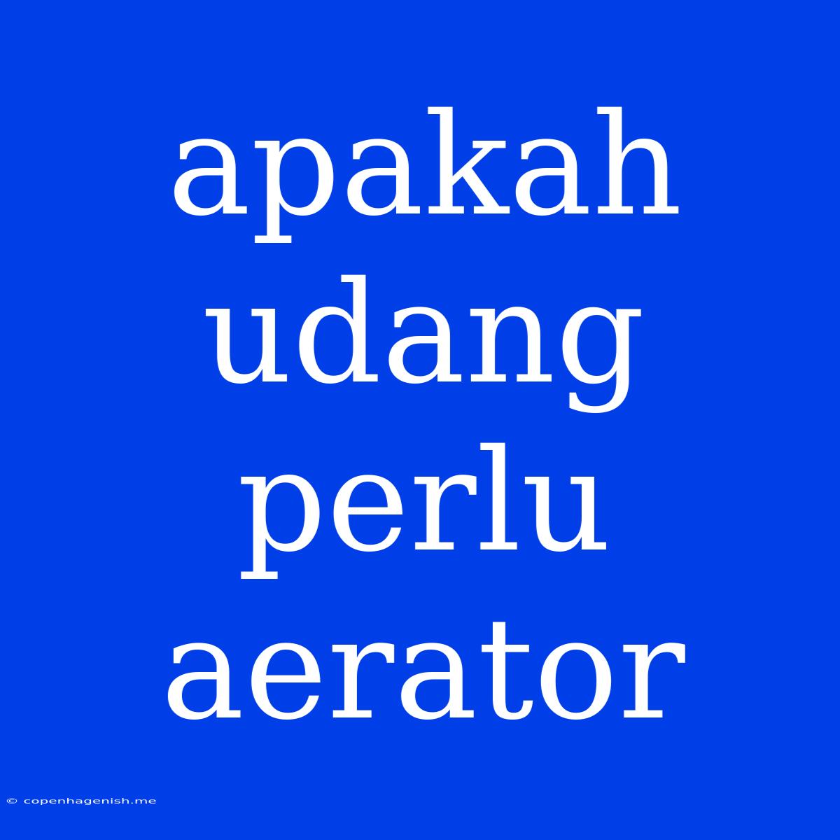 Apakah Udang Perlu Aerator