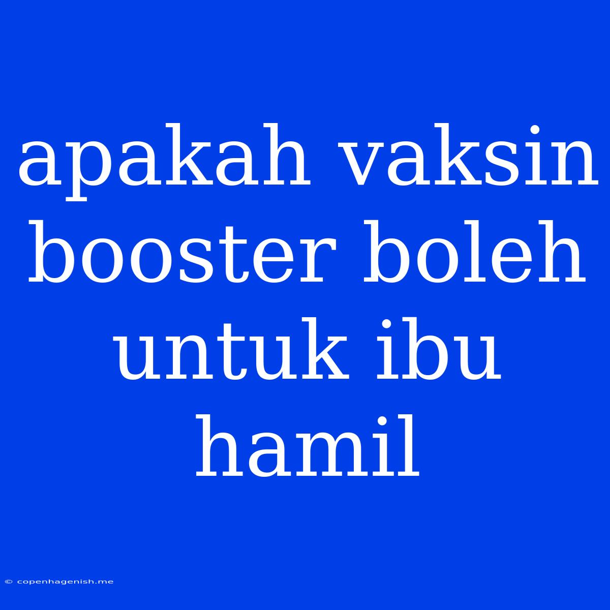 Apakah Vaksin Booster Boleh Untuk Ibu Hamil