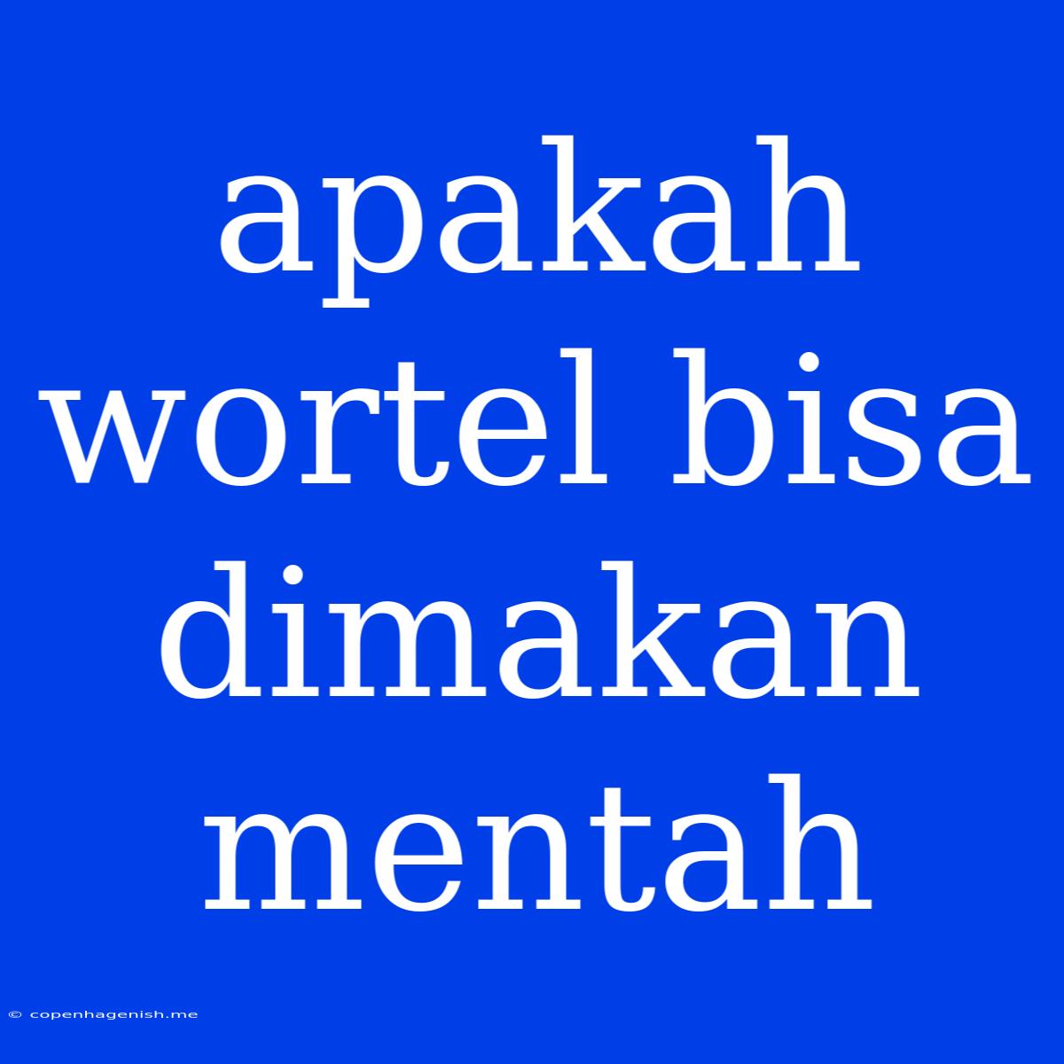 Apakah Wortel Bisa Dimakan Mentah