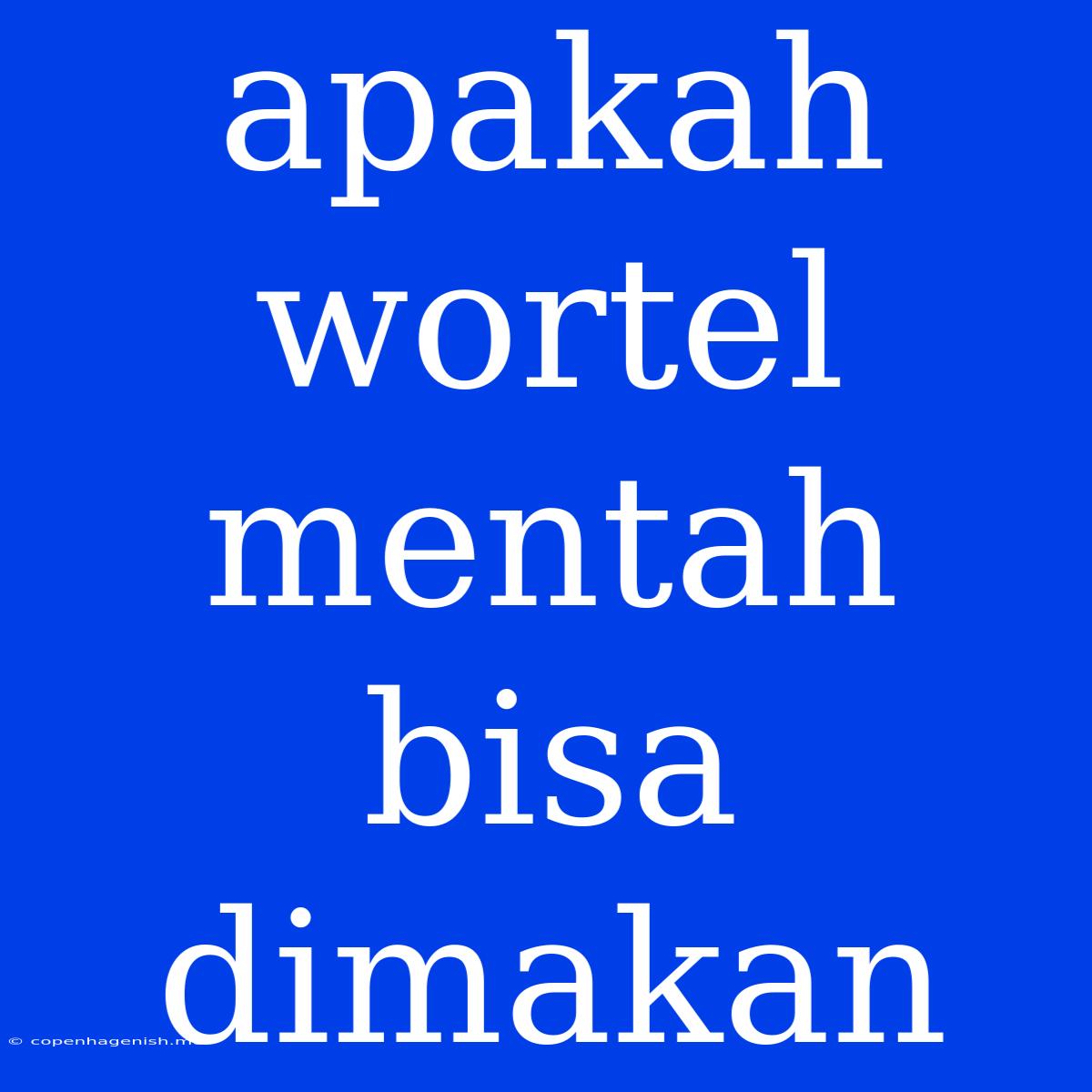 Apakah Wortel Mentah Bisa Dimakan