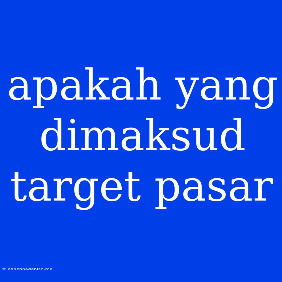 Apakah Yang Dimaksud Target Pasar