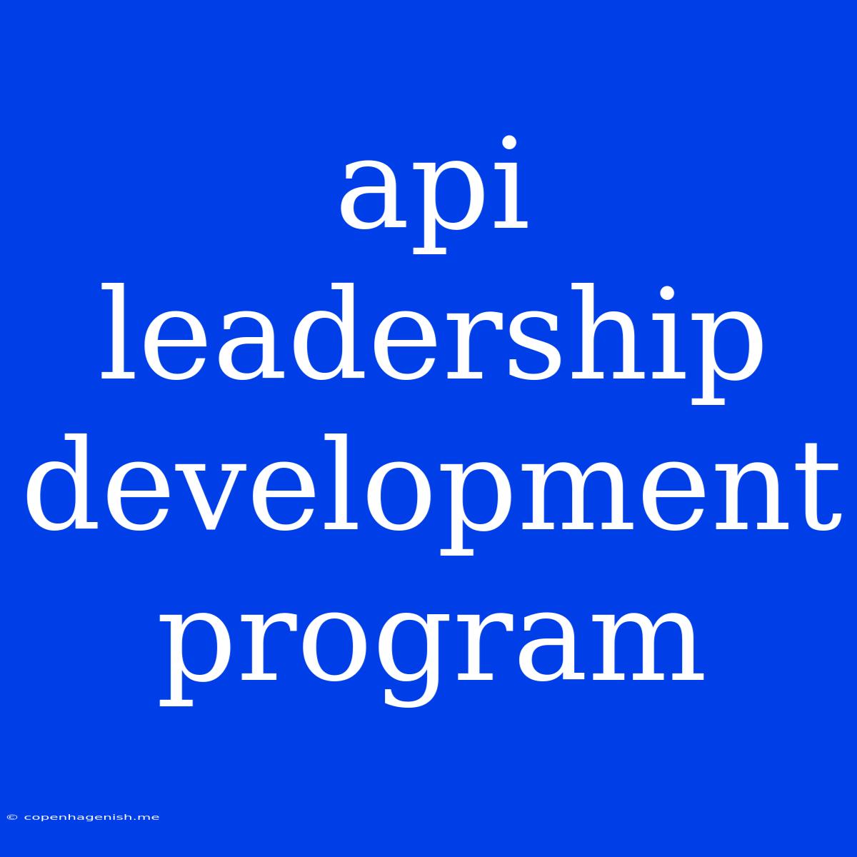 Api Leadership Development Program