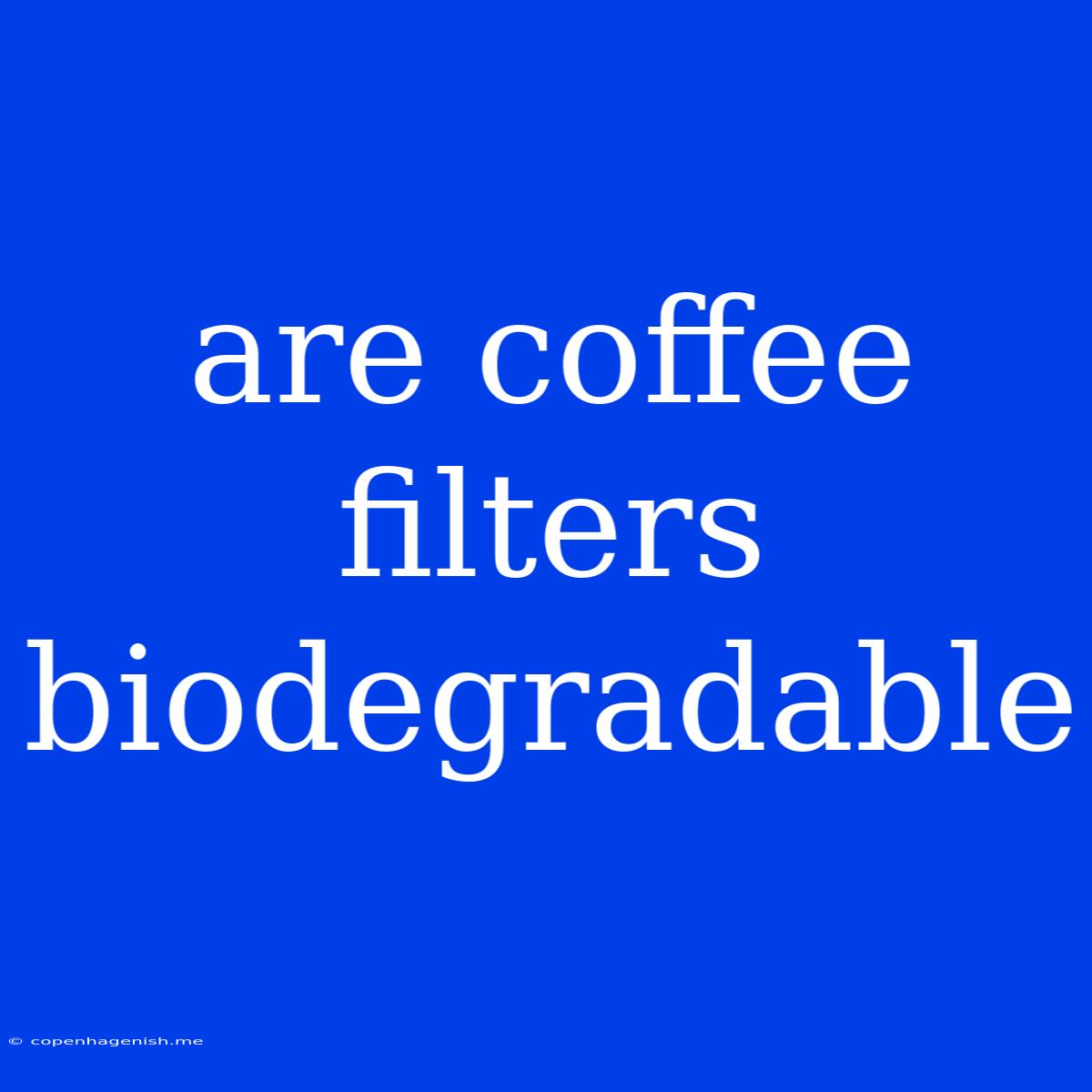 Are Coffee Filters Biodegradable