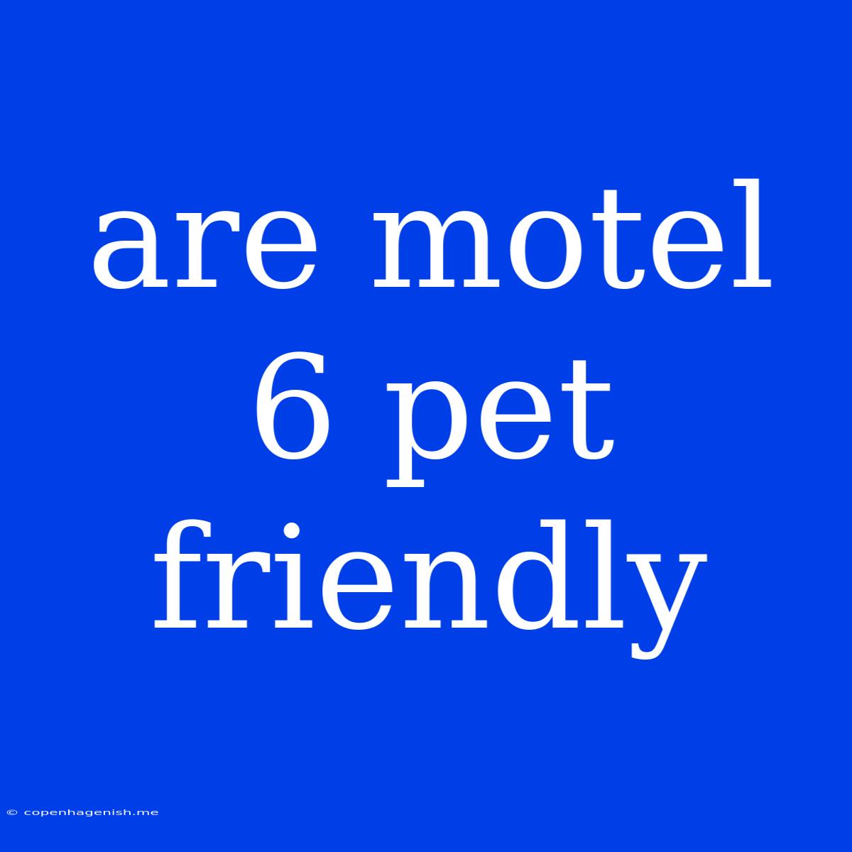 Are Motel 6 Pet Friendly