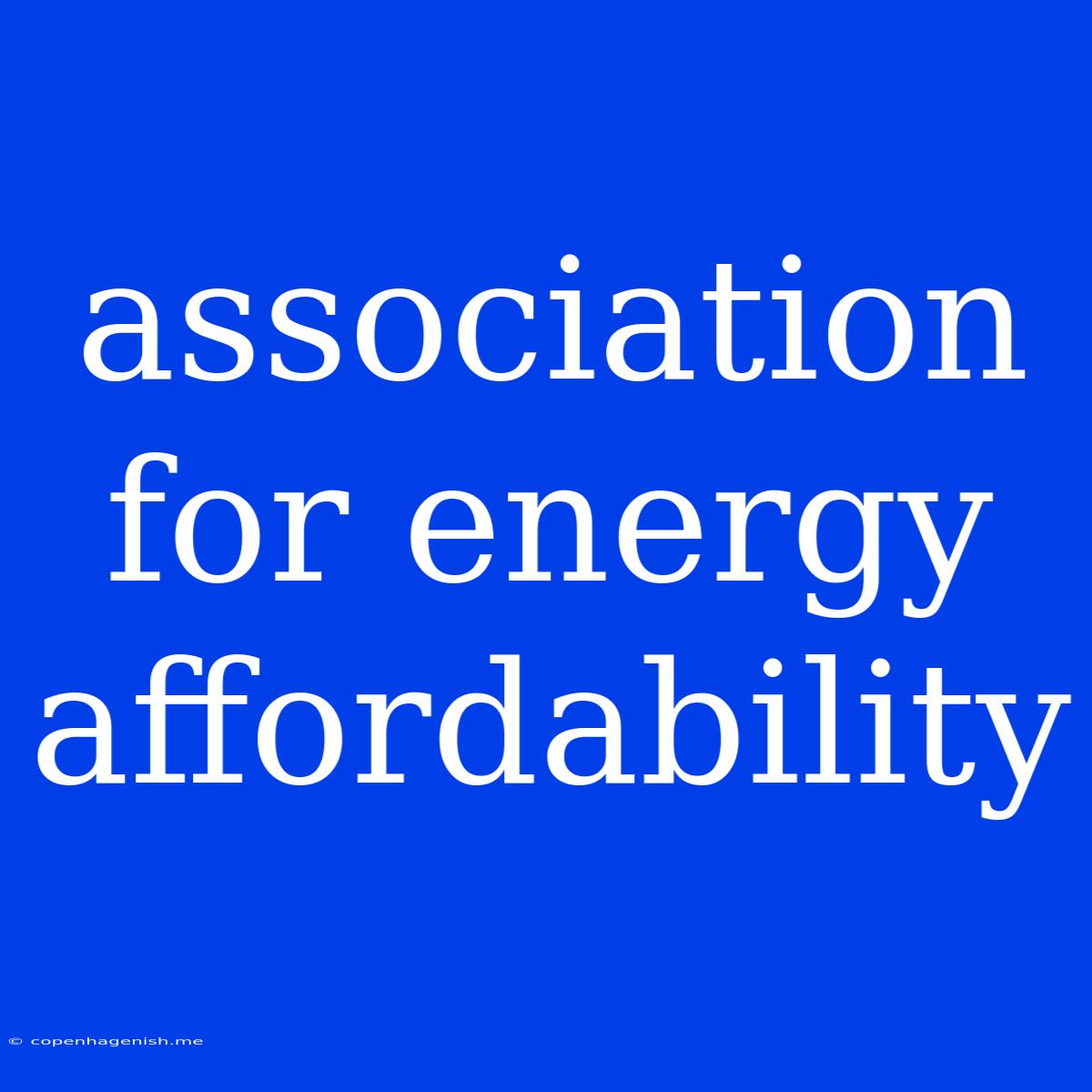 Association For Energy Affordability