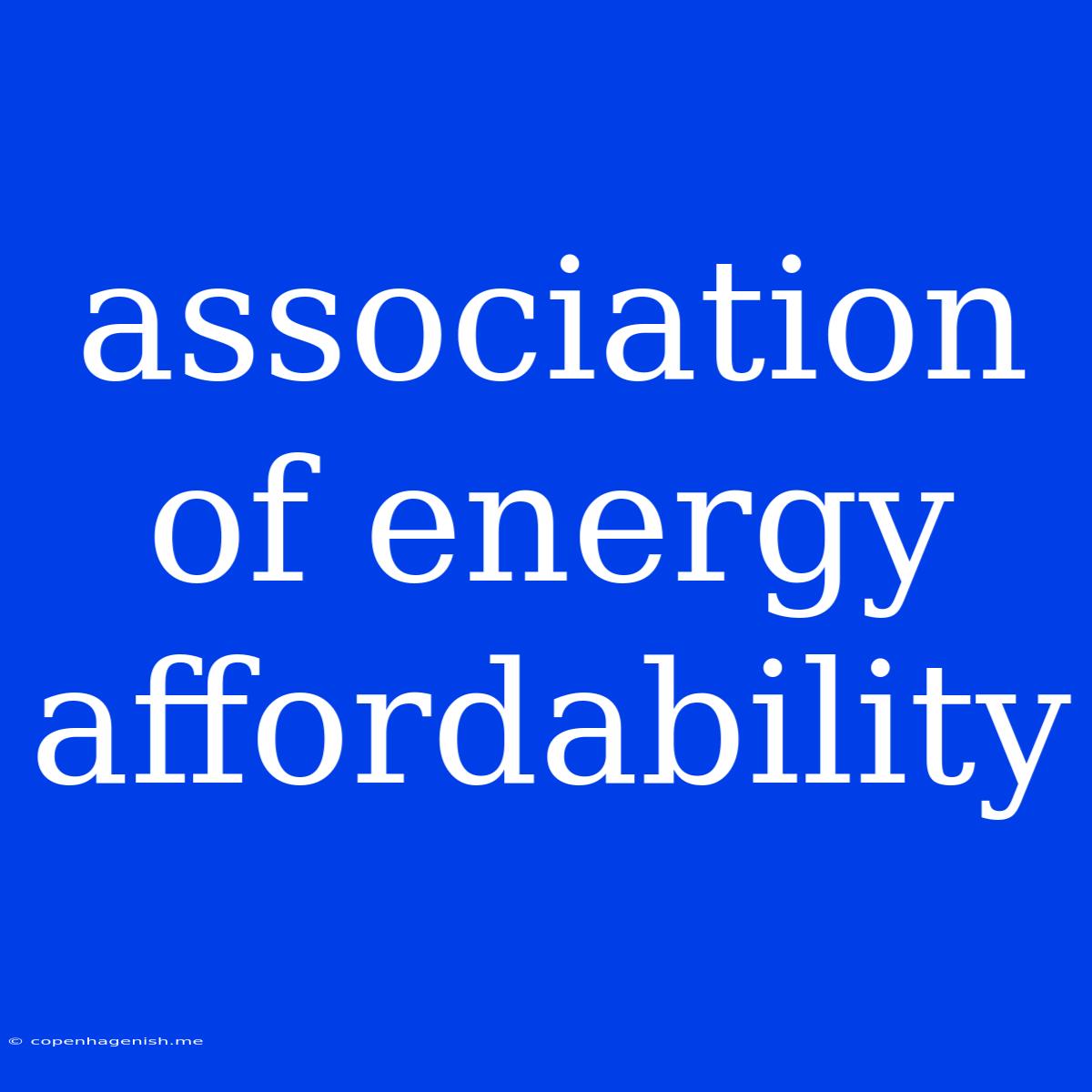 Association Of Energy Affordability