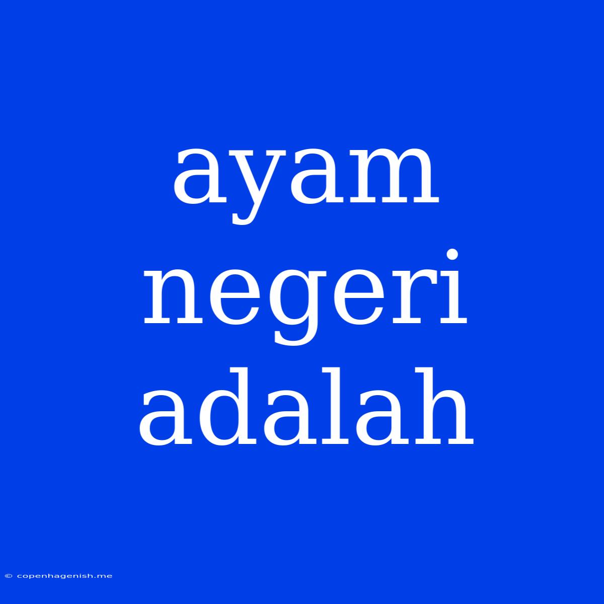 Ayam Negeri Adalah