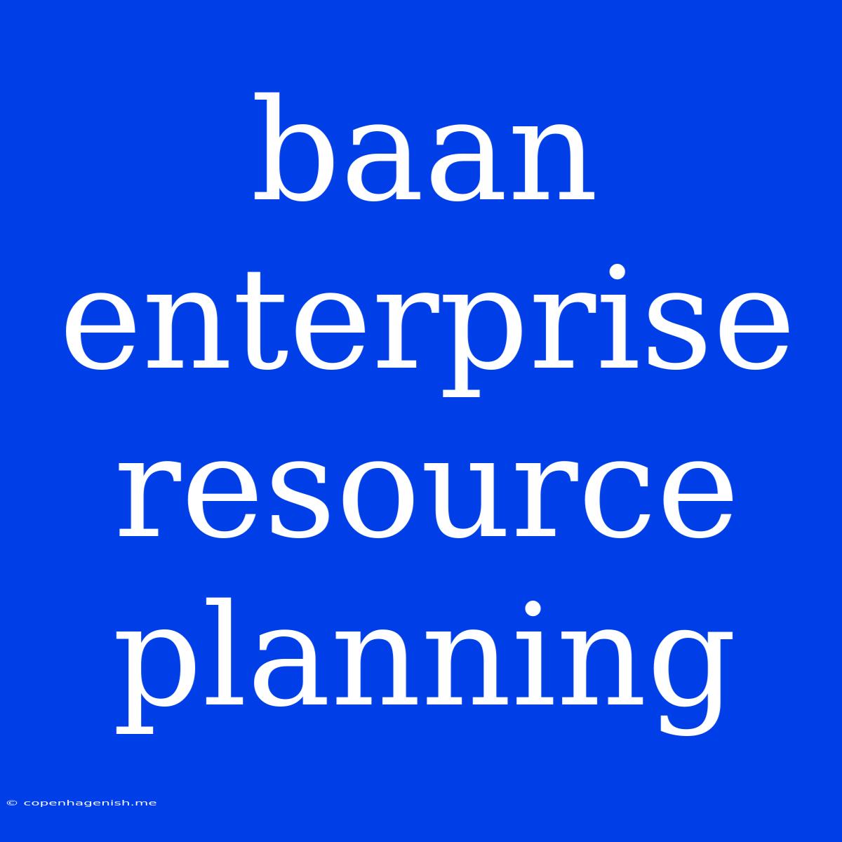 Baan Enterprise Resource Planning