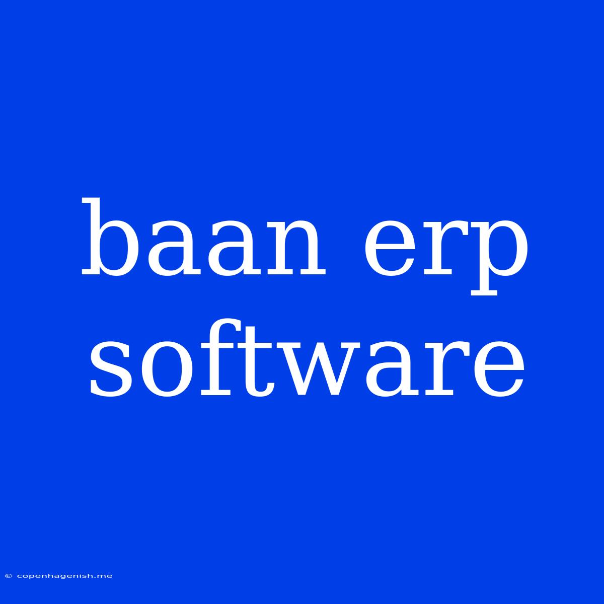 Baan Erp Software