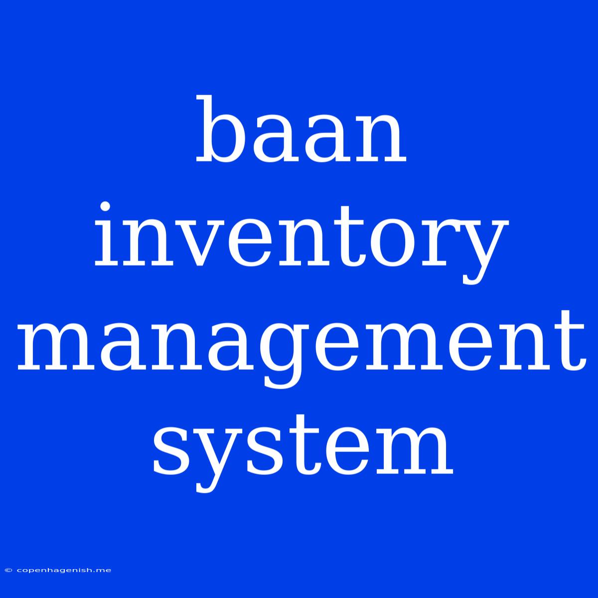 Baan Inventory Management System