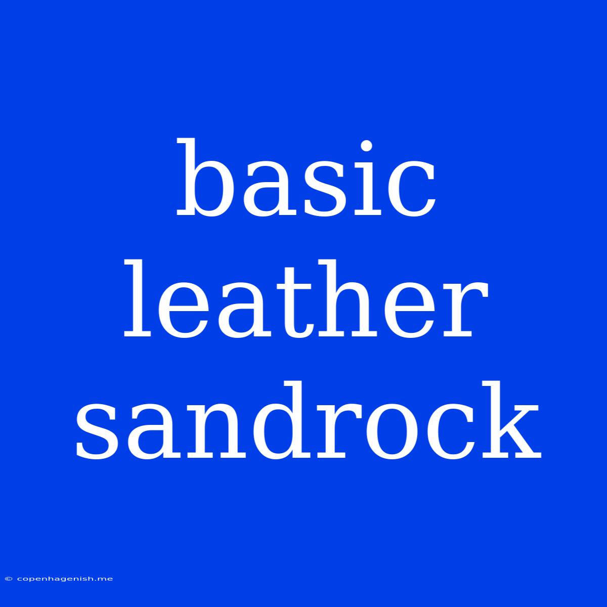 Basic Leather Sandrock