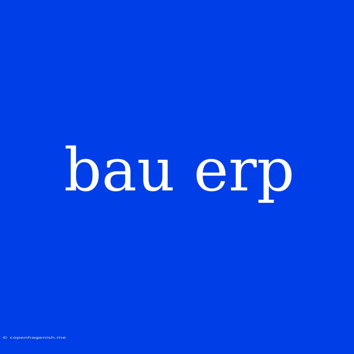 Bau Erp