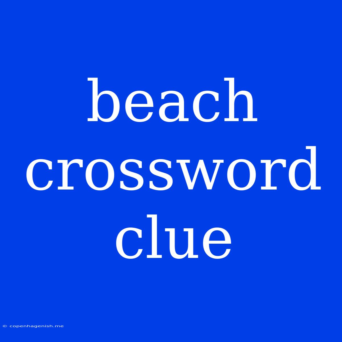 Beach Crossword Clue