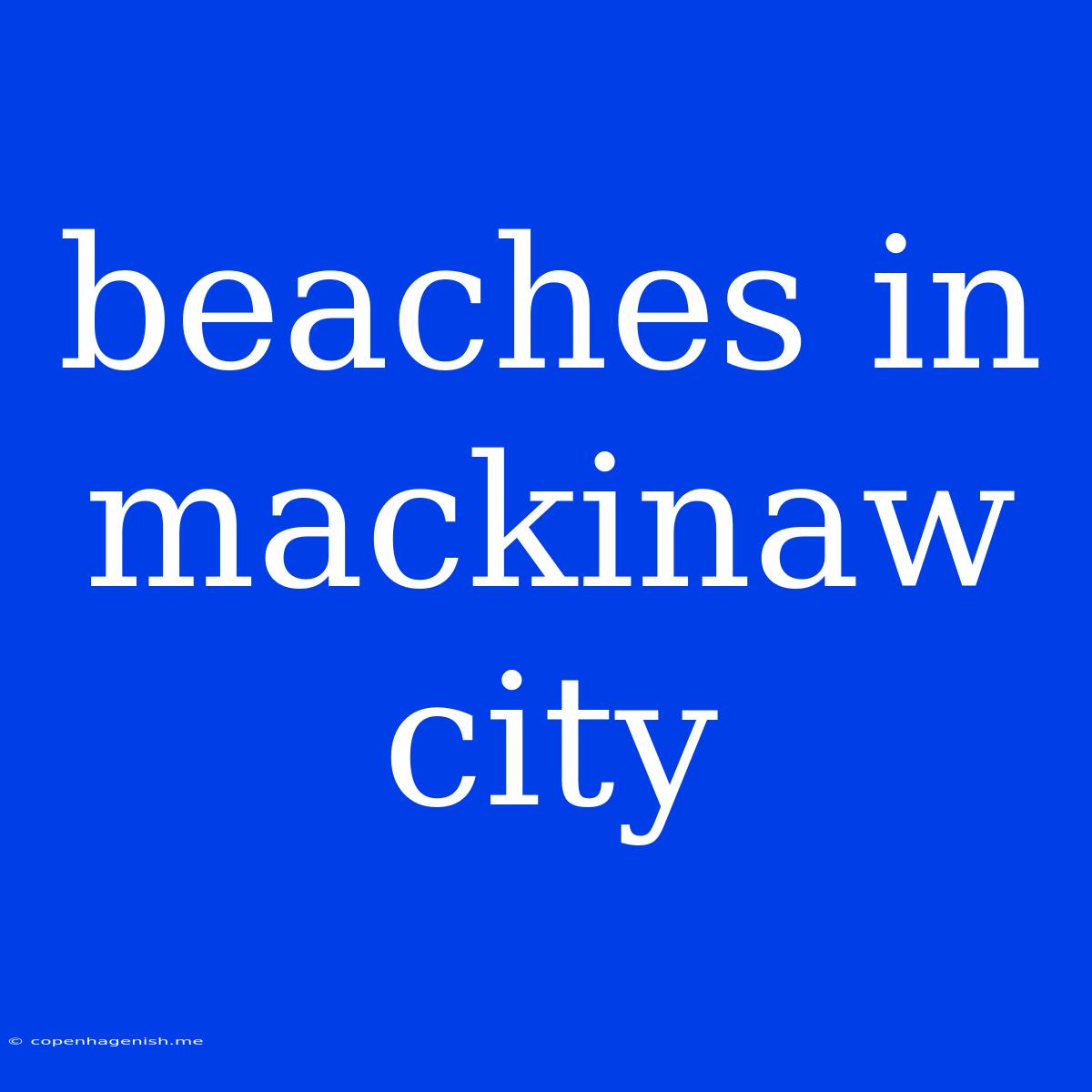 Beaches In Mackinaw City