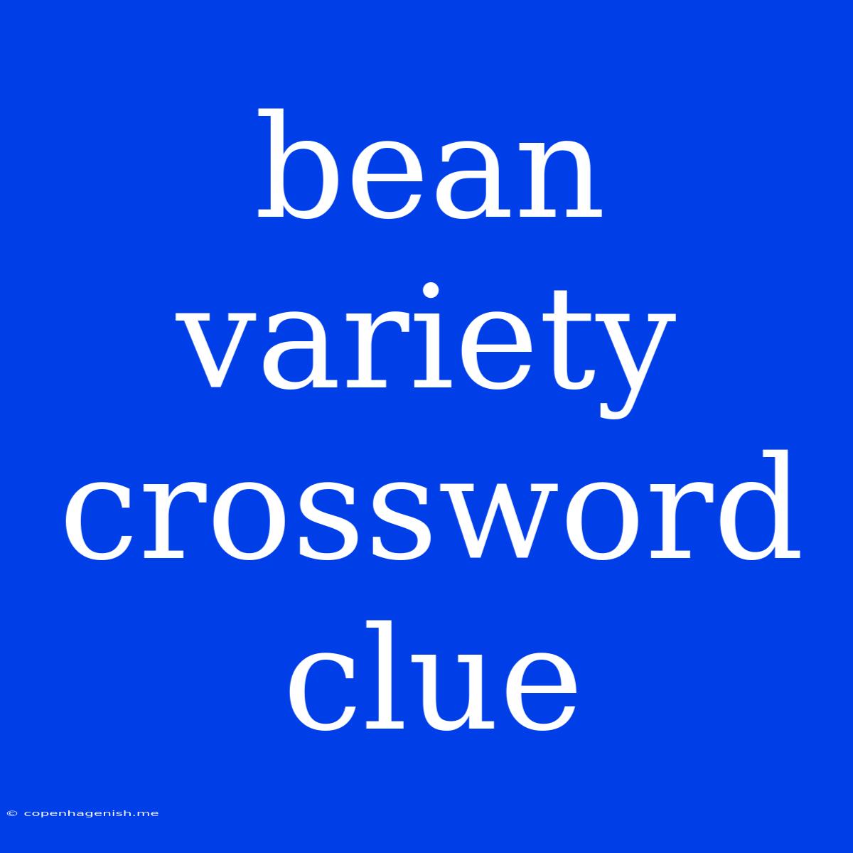 Bean Variety Crossword Clue