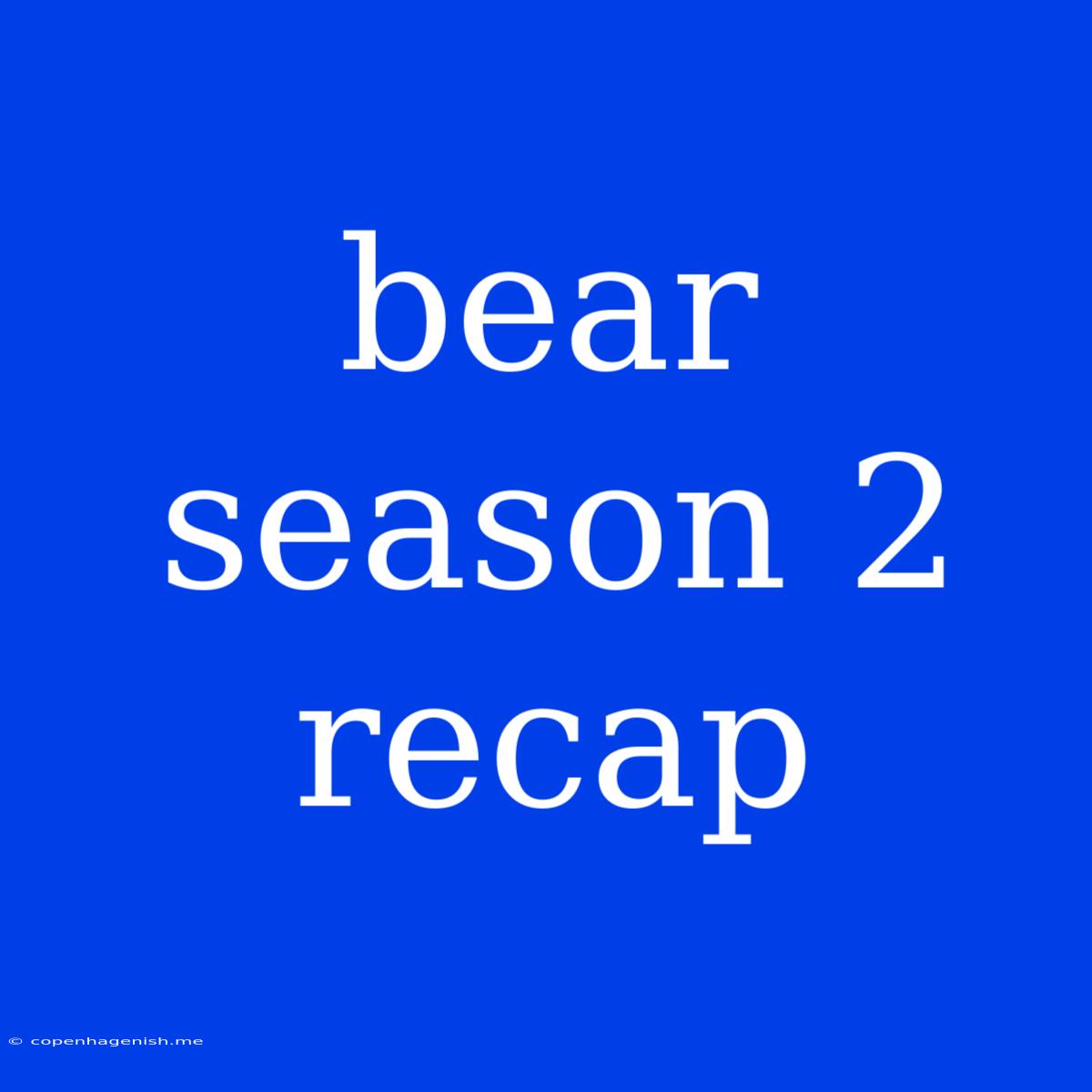 Bear Season 2 Recap